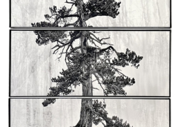 Ottavio Celestino, Contravento, triptyque, 2022