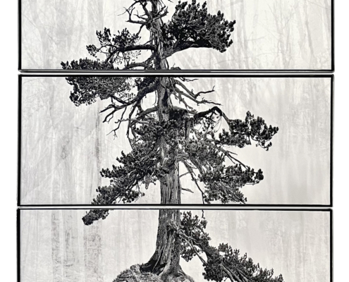 Ottavio Celestino, Contravento, triptyque, 2022
