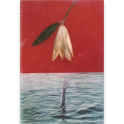 Barbara Salvucci, Detrimento, 2024 resina, stampa fotografica, tessuto e Anthurium cm 46 x 30 x 3
